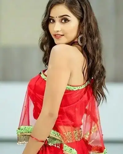 Call Girls Service Vagra